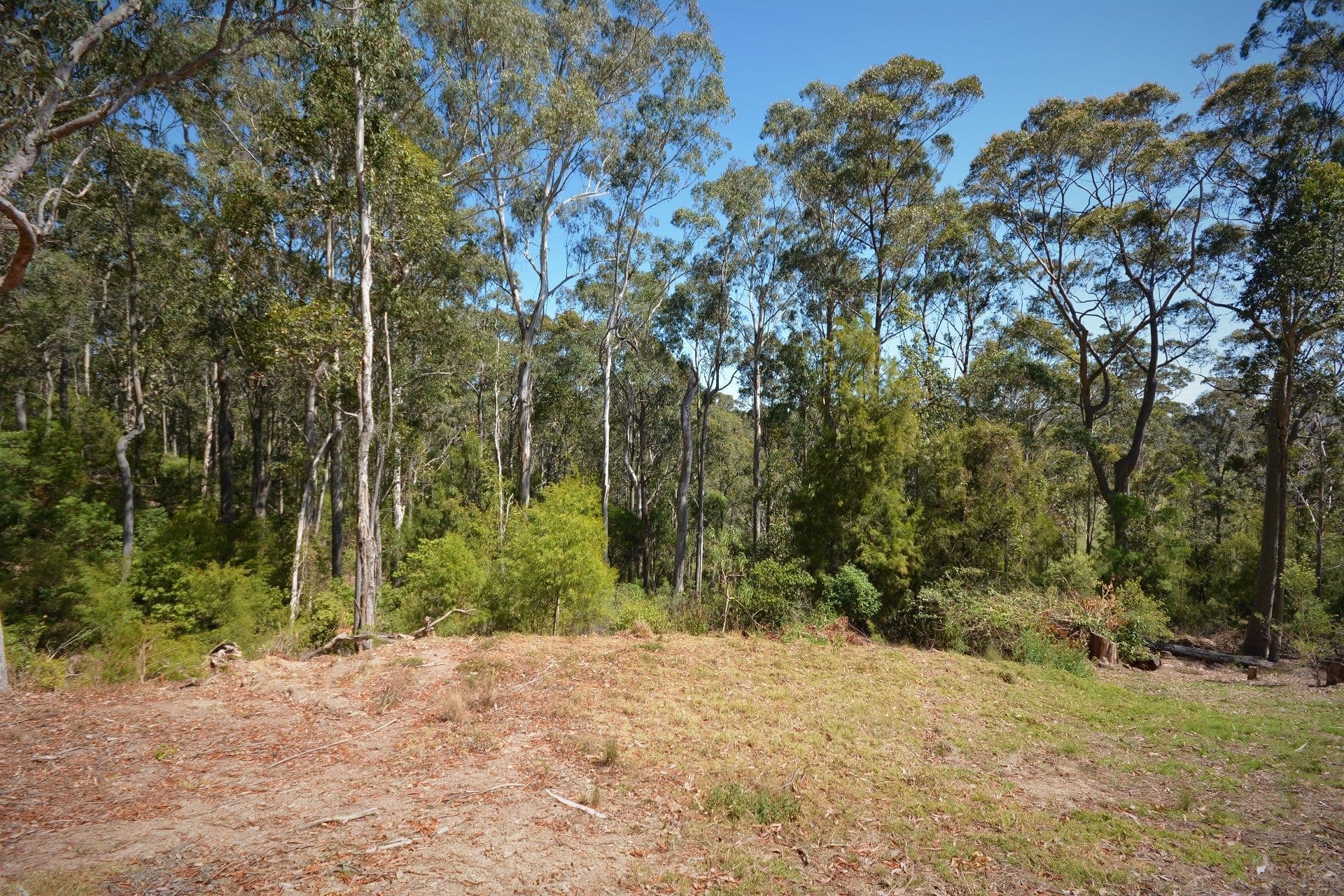 132 Ridge Road Corunna NSW, Corunna - Thumbnail 6
