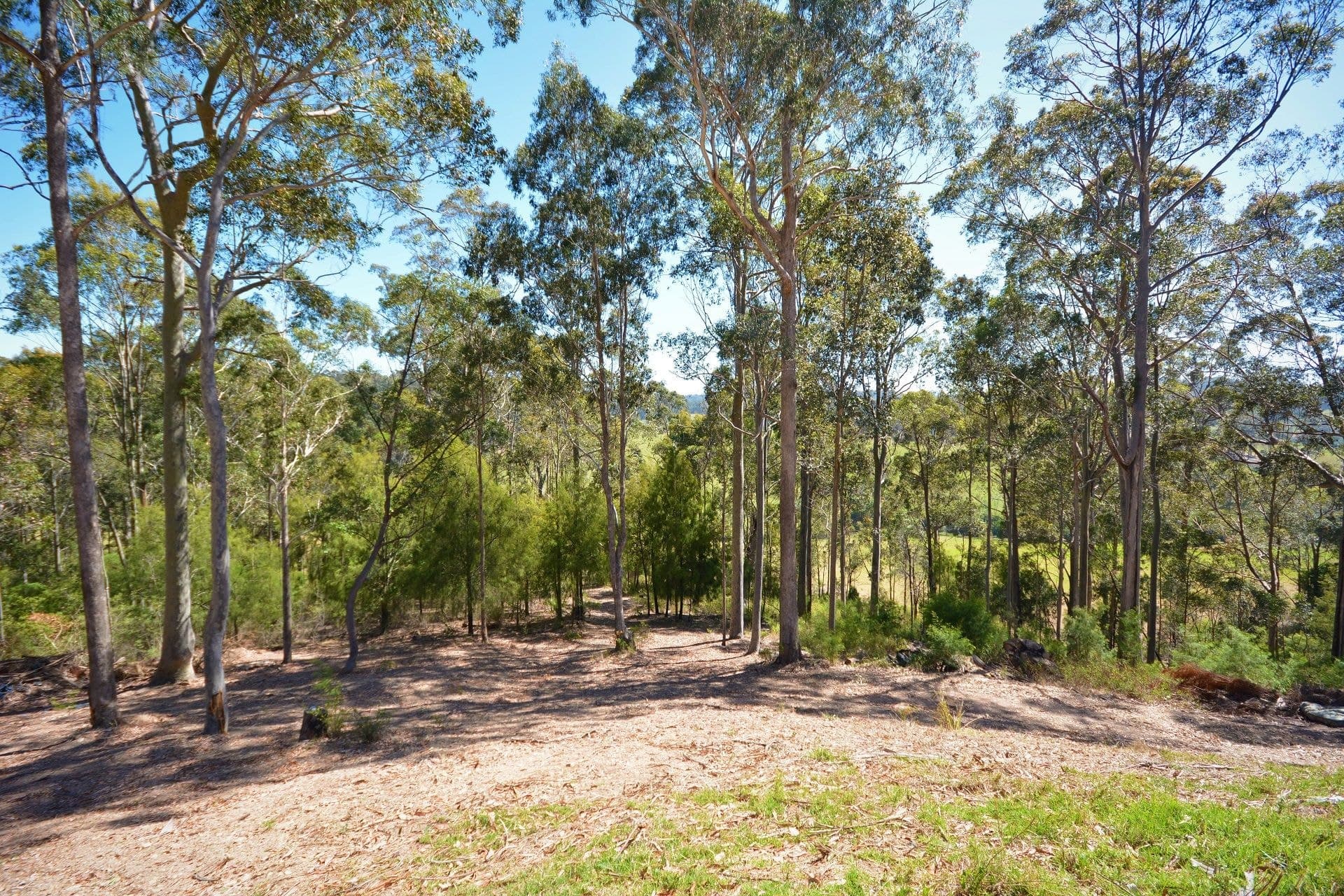 132 Ridge Road Corunna NSW, Corunna - Thumbnail 7