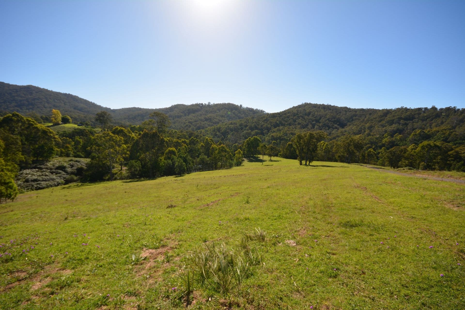 14 Waterloo Creek Road, Verona, Verona - Image 1