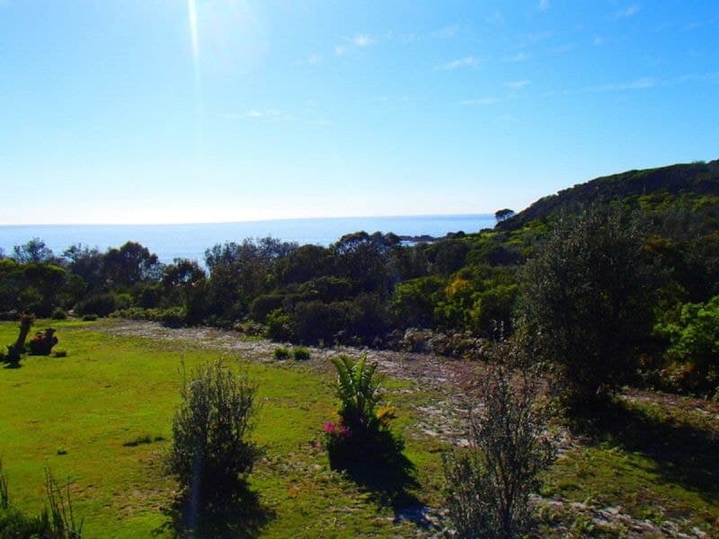 8 Dolphin Cove Drive Tura Beach NSW, Tura Beach - Thumbnail 4