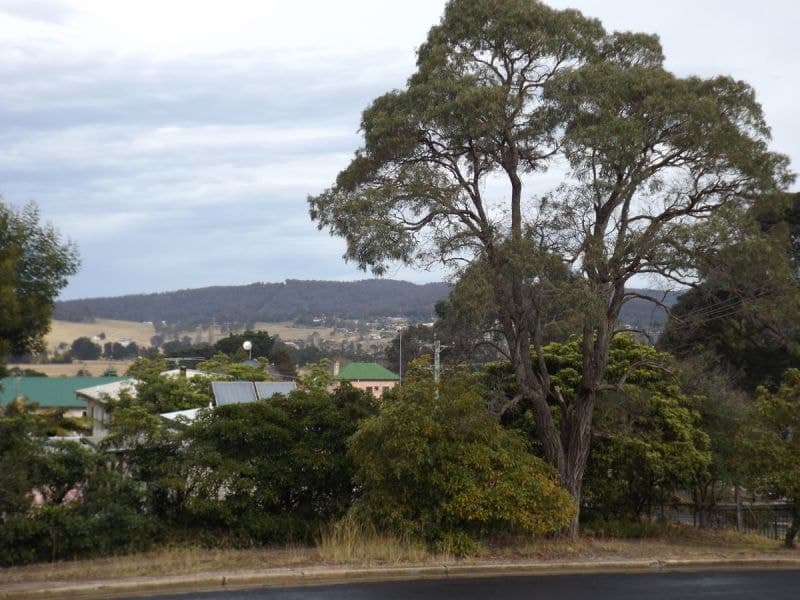 19 Oregon Street Pambula NSW, Pambula - Thumbnail 2