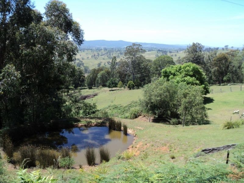541 Hawks Head Road, Brogo, Brogo - Thumbnail 2