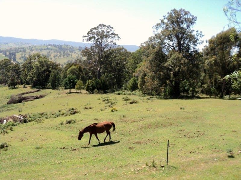 541 Hawks Head Road, Brogo, Brogo - Thumbnail 4