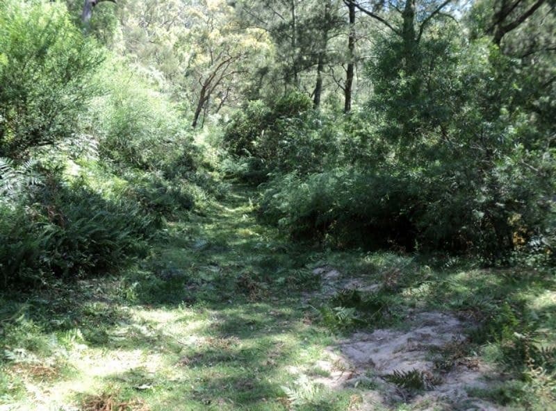 541 Hawks Head Road, Brogo, Brogo - Thumbnail 6