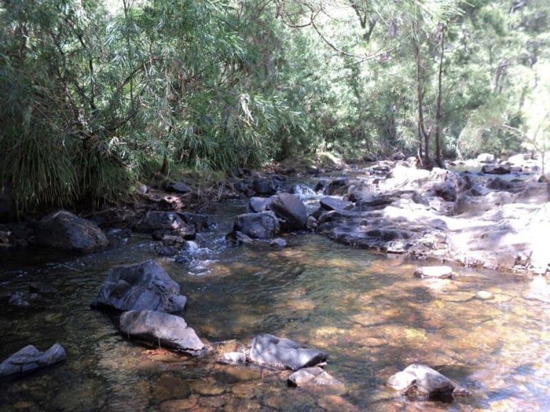 541 Hawks Head Road, Brogo, Brogo - Thumbnail 7