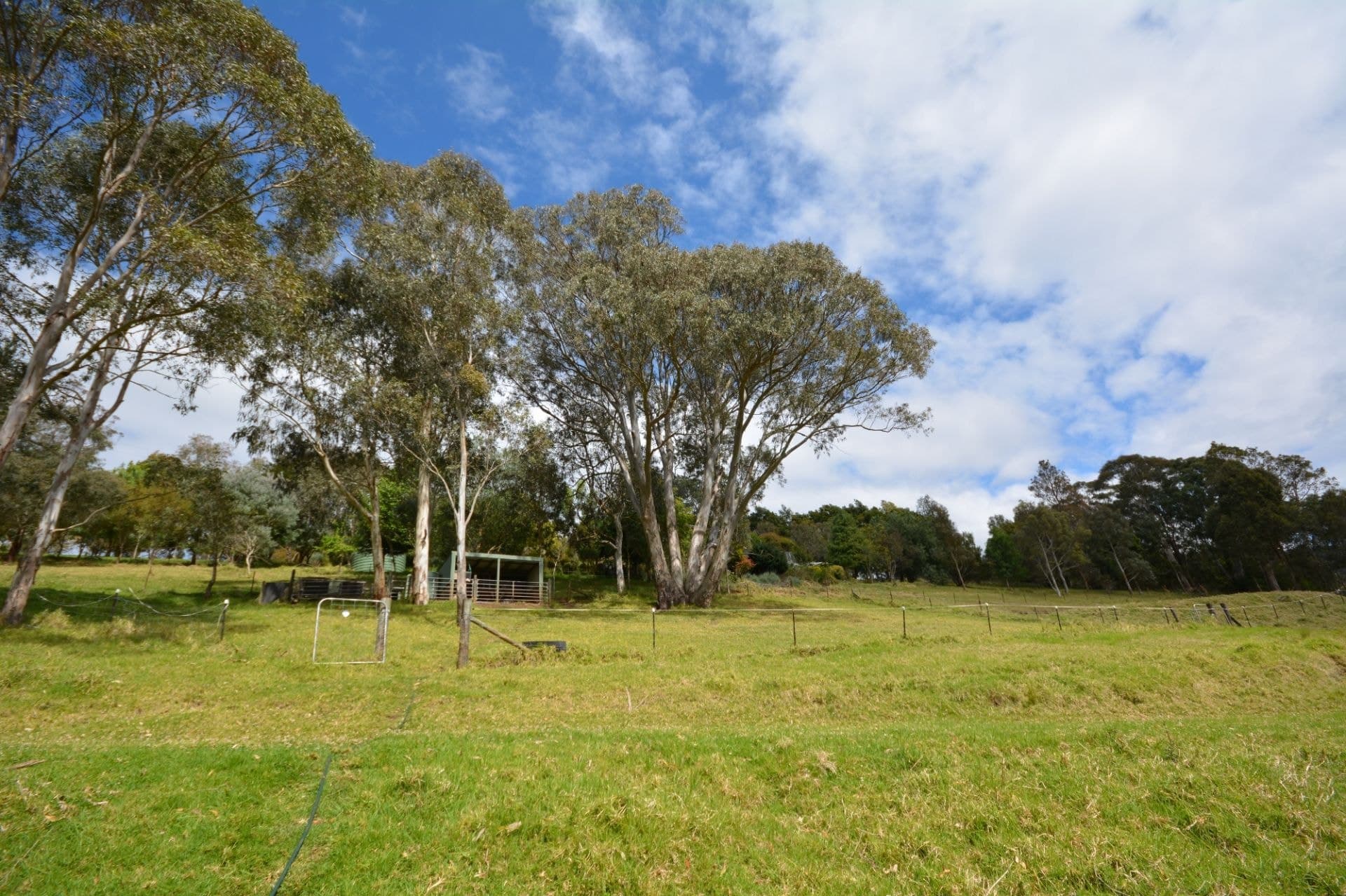 240 Quinlans Road Cobargo NSW, Cobargo - Image 1