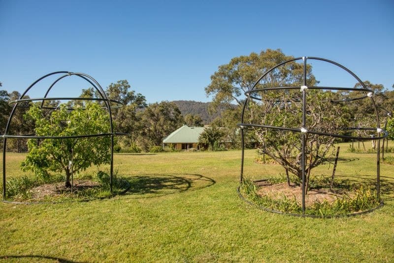 77 Mountview Close, Bega, Bega - Thumbnail 2