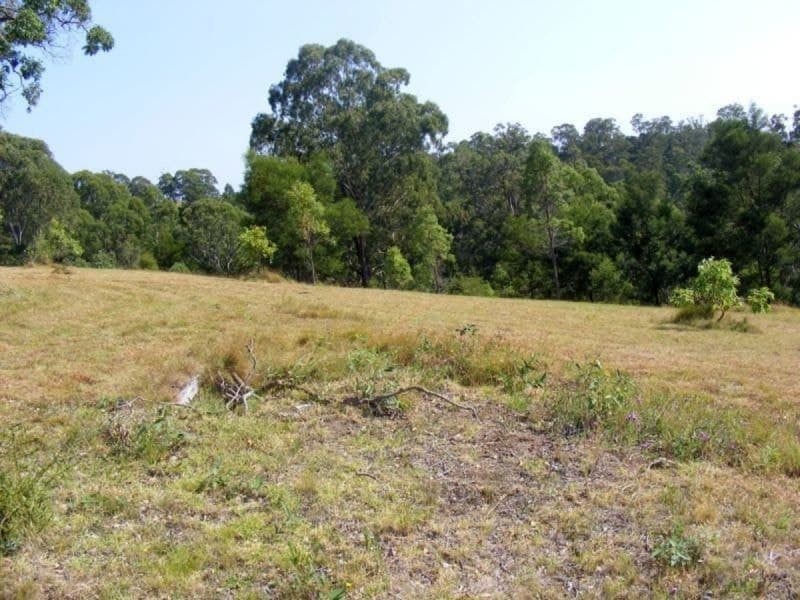 Lot 3 Newpark Road Brogo NSW, Brogo - Image 1