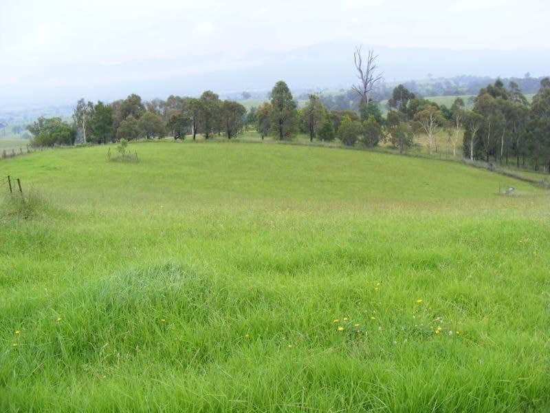 475 Sams Corner Road Bemboka NSW, Bemboka - Thumbnail 5