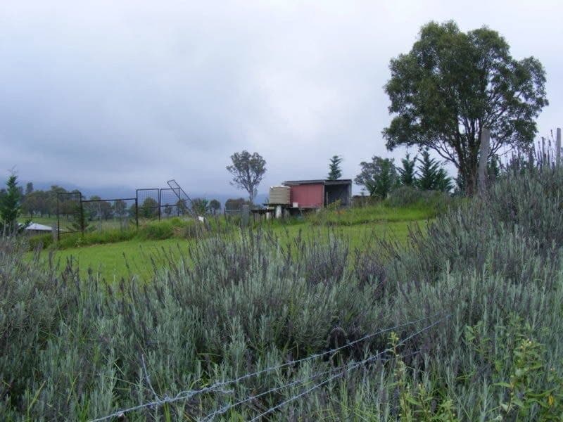 475 Sams Corner Road Bemboka NSW, Bemboka - Thumbnail 7