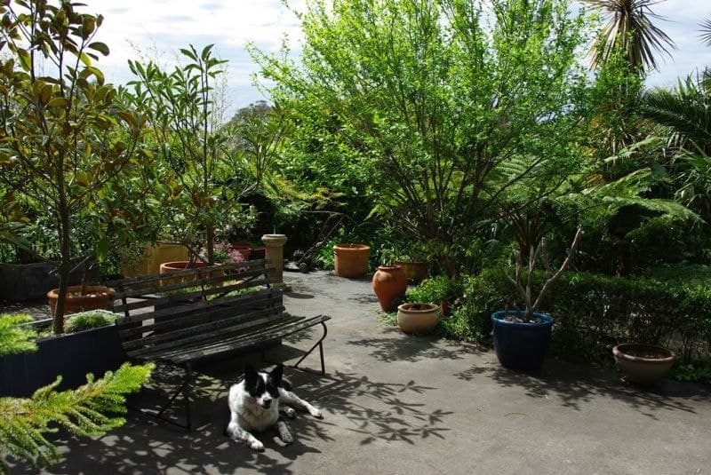19 Bate Street, Central Tilba, Central Tilba - Image 1