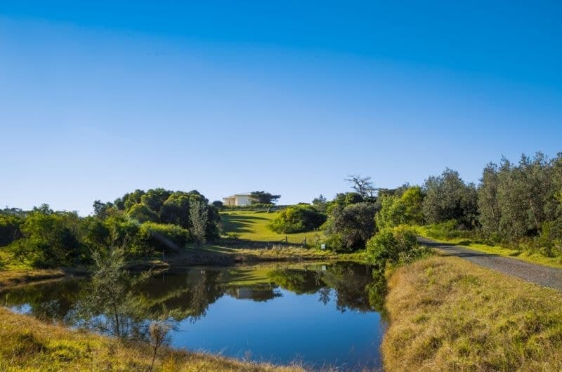 7 Camel Rock Road Bermagui NSW, Bermagui - Image 1