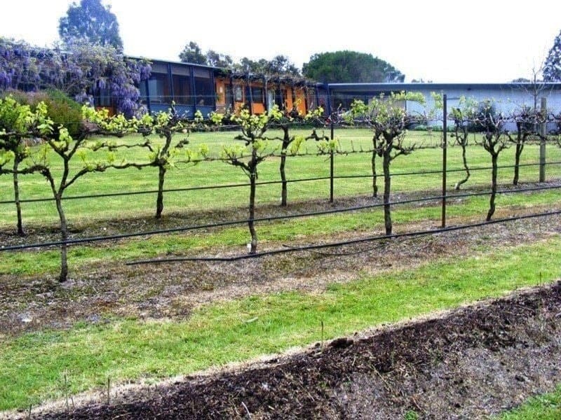 461 Wyndham Lane Bega NSW, Bega - Thumbnail 3