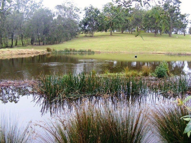 461 Wyndham Lane Bega NSW, Bega - Thumbnail 7