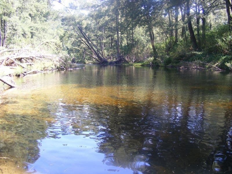 12680 Princes Highway Brogo NSW, Brogo - Image 1