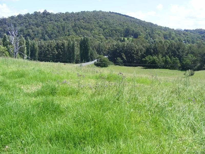 12680 Princes Highway Brogo NSW, Brogo - Thumbnail 2