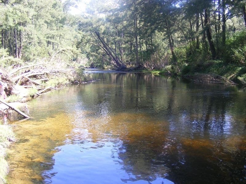 12680 Princes Highway Brogo NSW, Brogo - Thumbnail 4