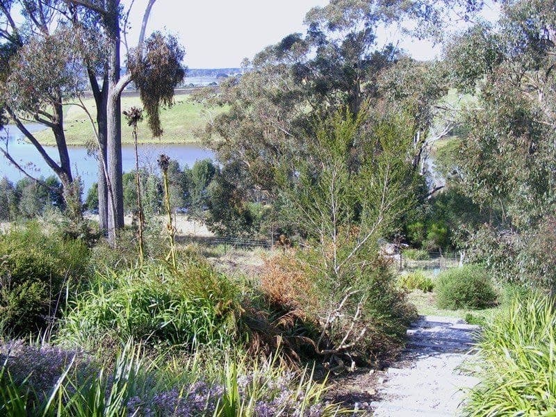 78 Darcy Lane Bega NSW, Bega - Thumbnail 8