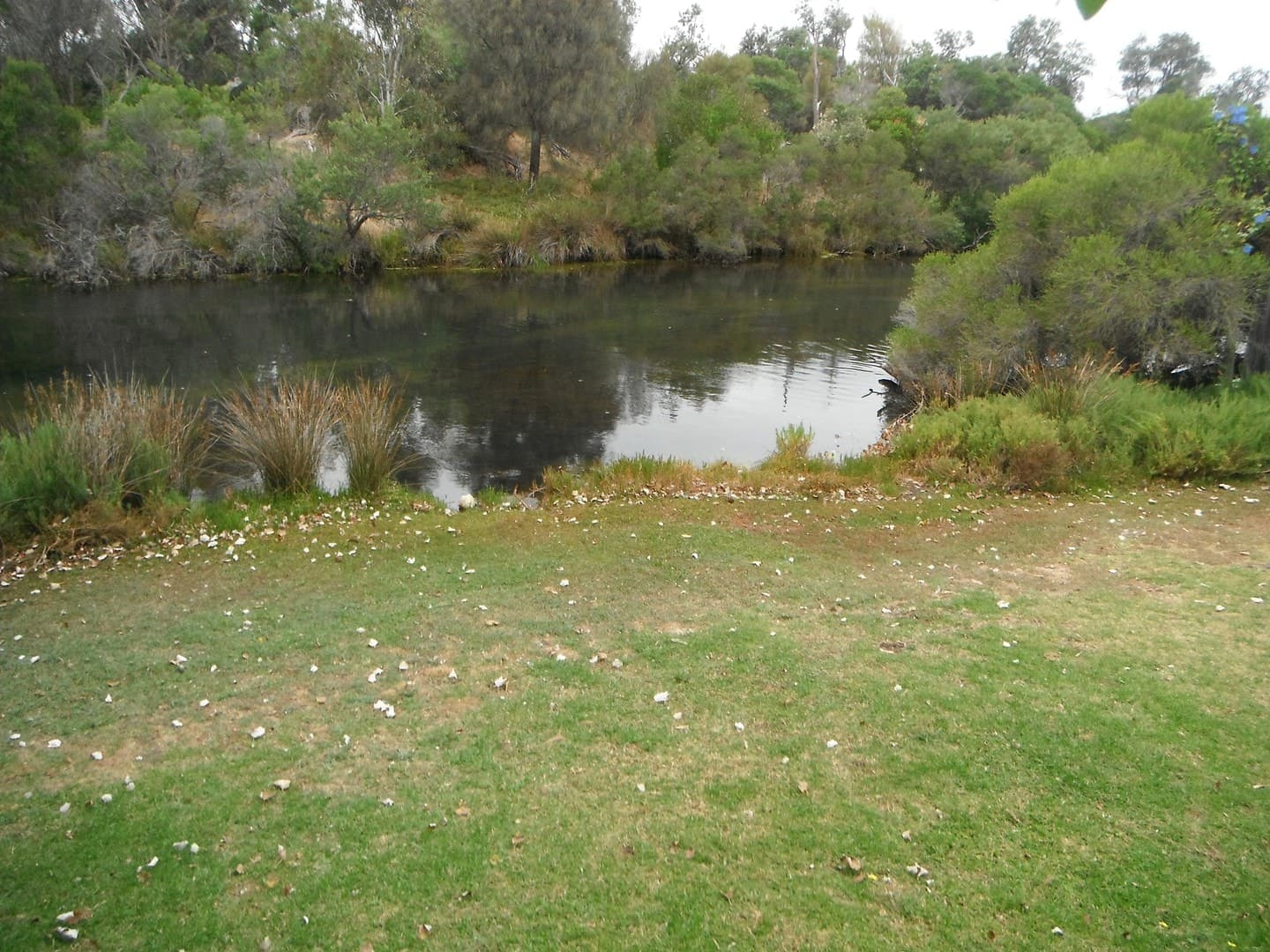2/269 Nepean Highway, Seaford, VIC 3198, Seaford - Thumbnail 5