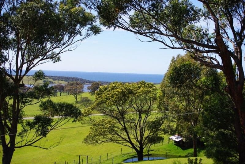 27 Victoria Creek Road, Central Tilba, Central Tilba - Thumbnail 3