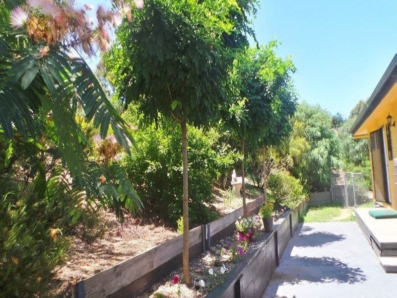 3 Wattle Place, Bega, Bega - Thumbnail 2