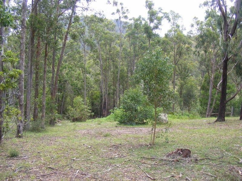 113 Brittens Road Tantawangalo NSW, Tantawangalo - Image 1