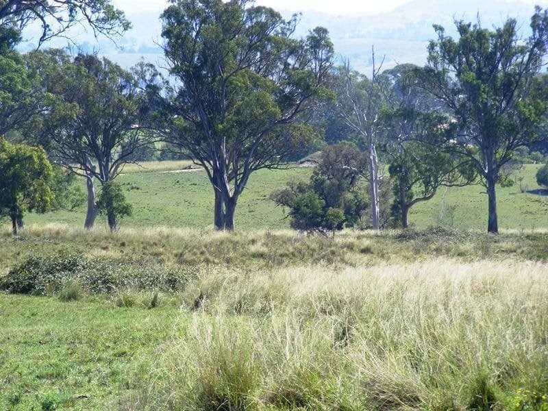 Lot 7 Moorlands Lane Frogs Hollow NSW, Frogs Hollow - Image 1