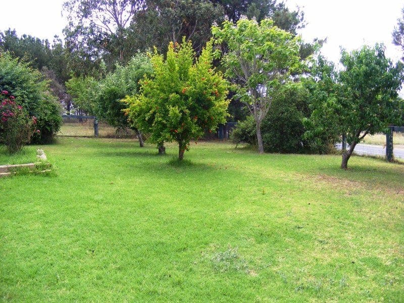 649 Mogilla Road, Candelo, Candelo - Image 1