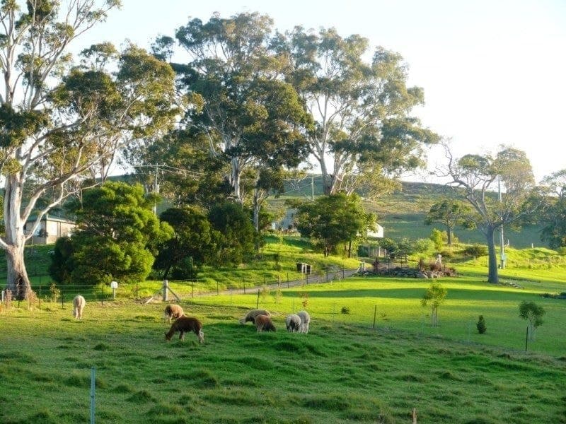 354 Bald Hills Road Bald Hills NSW, Bald Hills - Thumbnail 5