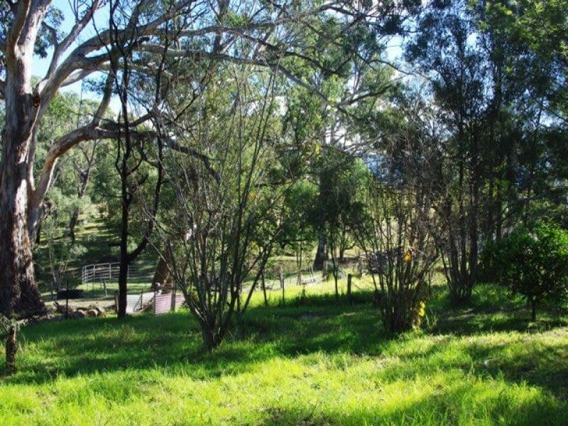 24, Quaama - Image 1