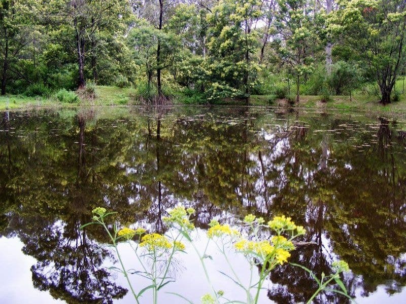 Lot 630 Eagles Nest Road Brogo NSW, Brogo - Thumbnail 5