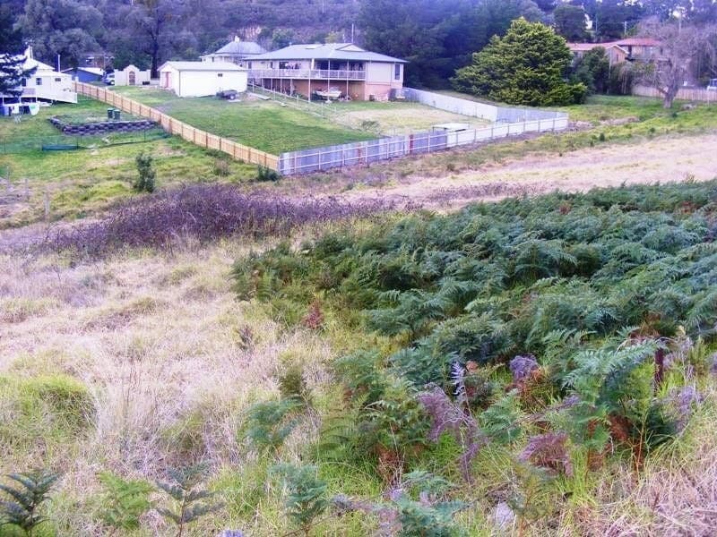 17 Phillips Street, Wolumla, Wolumla - Thumbnail 3