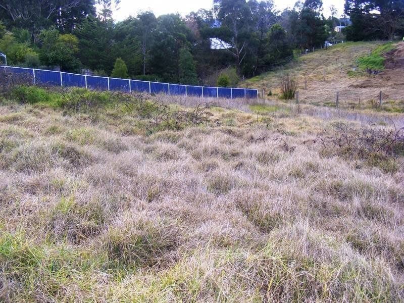 17 Phillips Street, Wolumla, Wolumla - Thumbnail 4