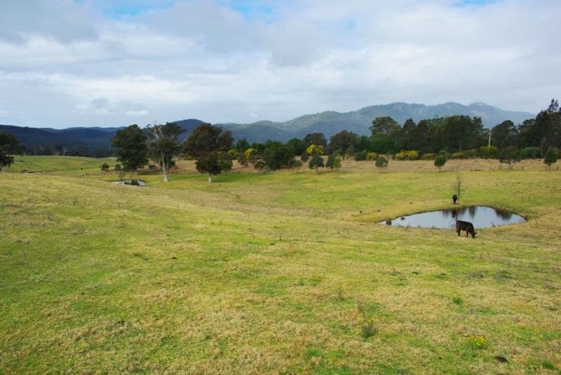 3/ Field Buckets Road, Quaama, Quaama - Thumbnail 5