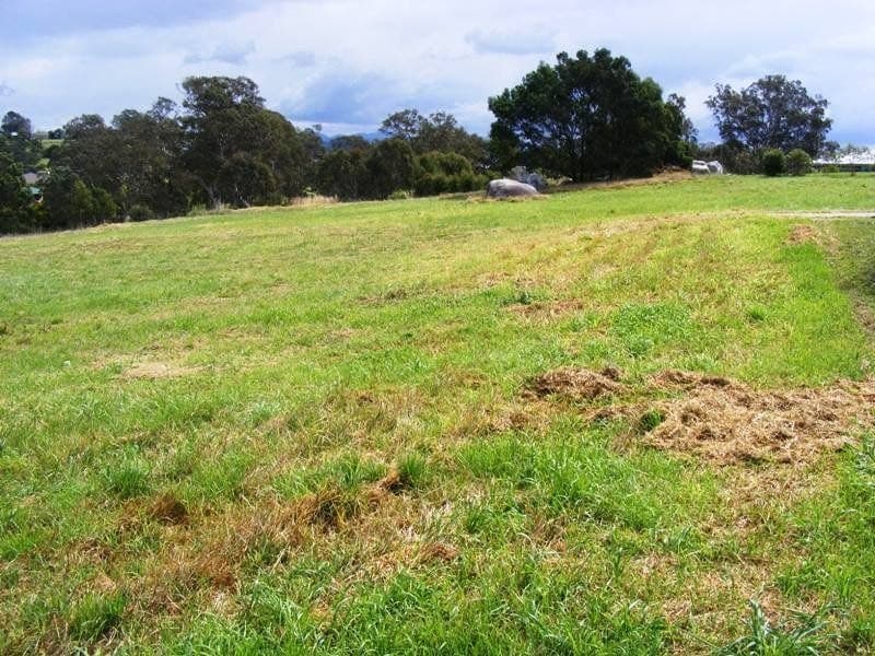 65 Glen Mia Drive, Bega, Bega - Thumbnail 2