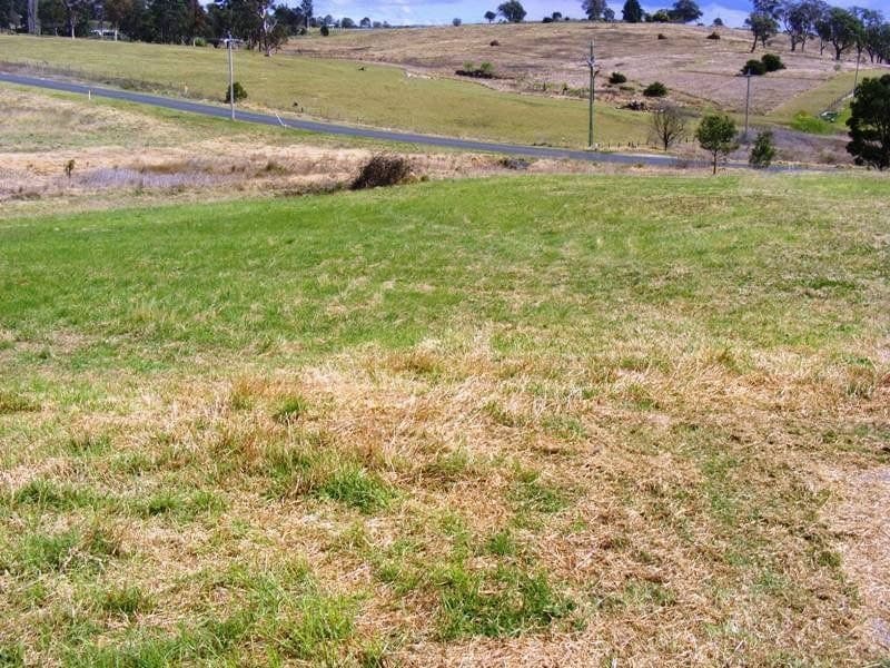 65 Glen Mia Drive, Bega, Bega - Thumbnail 4