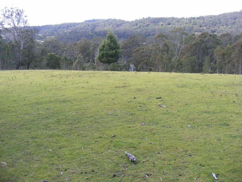 1262 Tantawangalo Mountain Road Candelo NSW, Candelo - Thumbnail 2