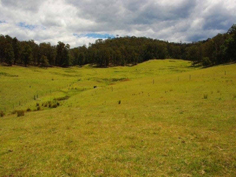 Lot 6 Narira Park Lane Cobargo NSW, Cobargo - Thumbnail 5