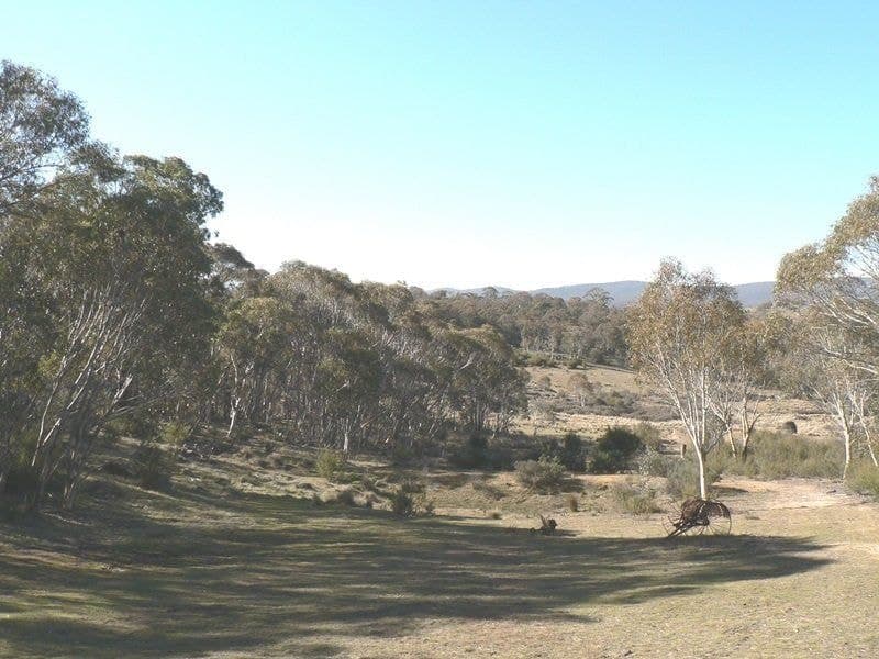 103 Bobeyan Road, Shannons Flat, Shannons Flat - Thumbnail 2