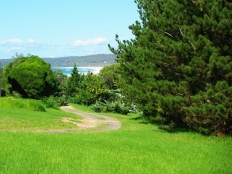 Lot 870 Tathra Bermagui Road BERMAGUI NSW, Bermagui - Thumbnail 7