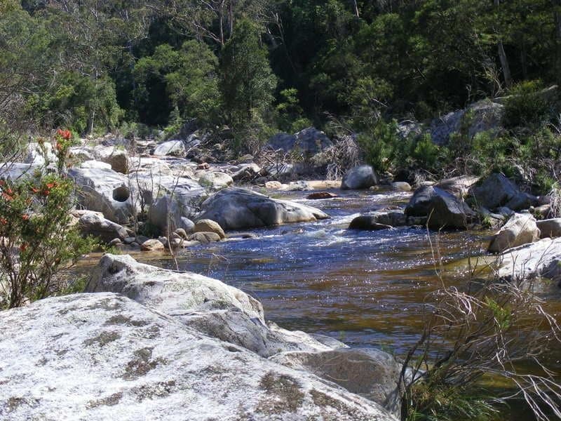 1376 Tantawangalo Mountain Road Candelo NSW, Candelo - Thumbnail 2