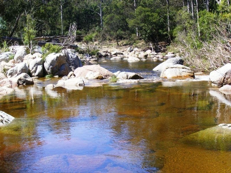 1376 Tantawangalo Mountain Road Candelo NSW, Candelo - Thumbnail 4