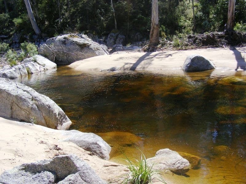 1376 Tantawangalo Mountain Road Candelo NSW, Candelo - Thumbnail 6