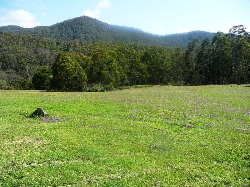 1376 Tantawangalo Mountain Road Candelo NSW, Candelo - Thumbnail 8