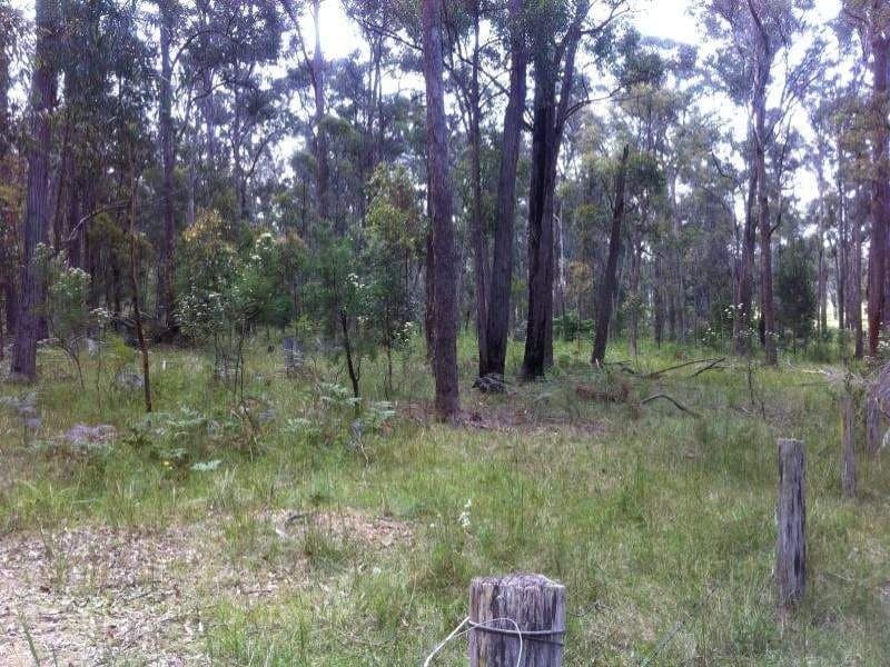 Lot 311 Sapphire Coast Drive Wallagoot NSW, Wallagoot - Image 1