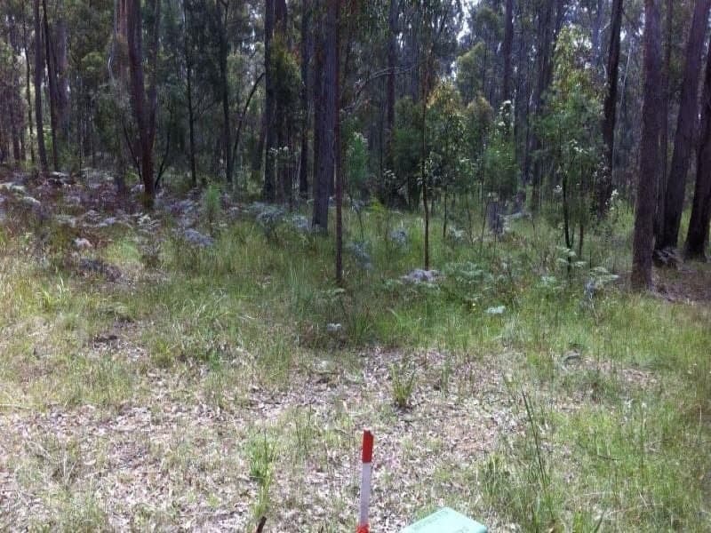 Lot 311 Sapphire Coast Drive Wallagoot NSW, Wallagoot - Thumbnail 2