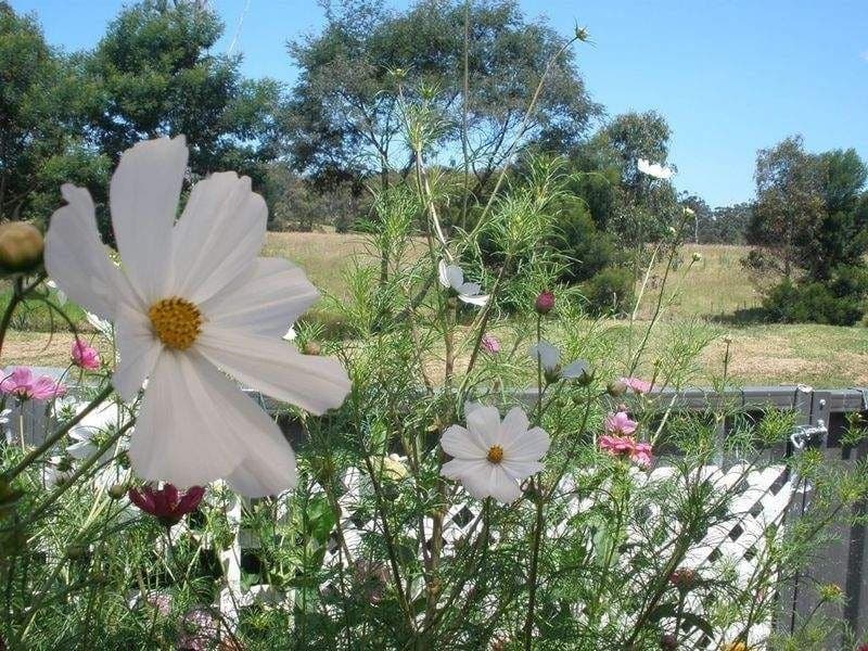 84/3197 Princes Highway Millingandi NSW, Millingandi - Thumbnail 3