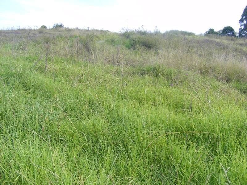 Lot 511 Glen Mia Drive Bega NSW, Bega - Image 1