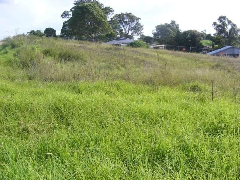Lot 511 Glen Mia Drive Bega NSW, Bega - Thumbnail 3
