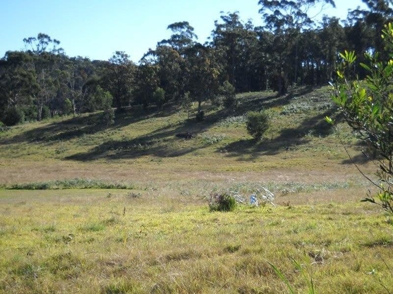 Lot 502 K B Timms Drive Eden NSW, Eden - Image 1